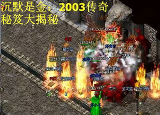 沉默是金：2003传奇秘笈大揭秘