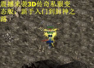 震撼来袭3D传奇私服变态版：新手入门到封神之路