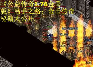 《公益传奇1.76金币版》高手之路：金币传奇秘籍大公开