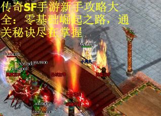 传奇SF手游新手攻略大全：零基础崛起之路，通关秘诀尽在掌握